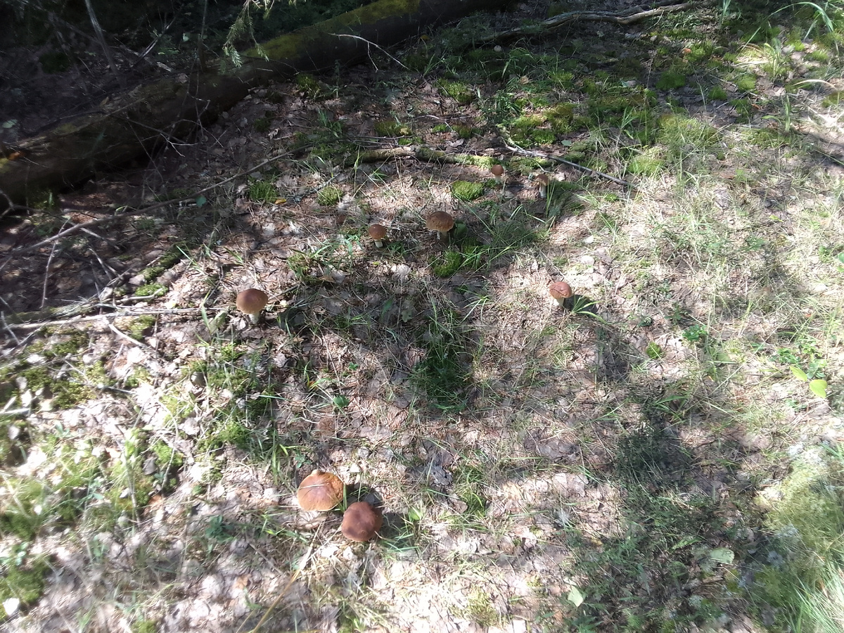 фото сделано автором