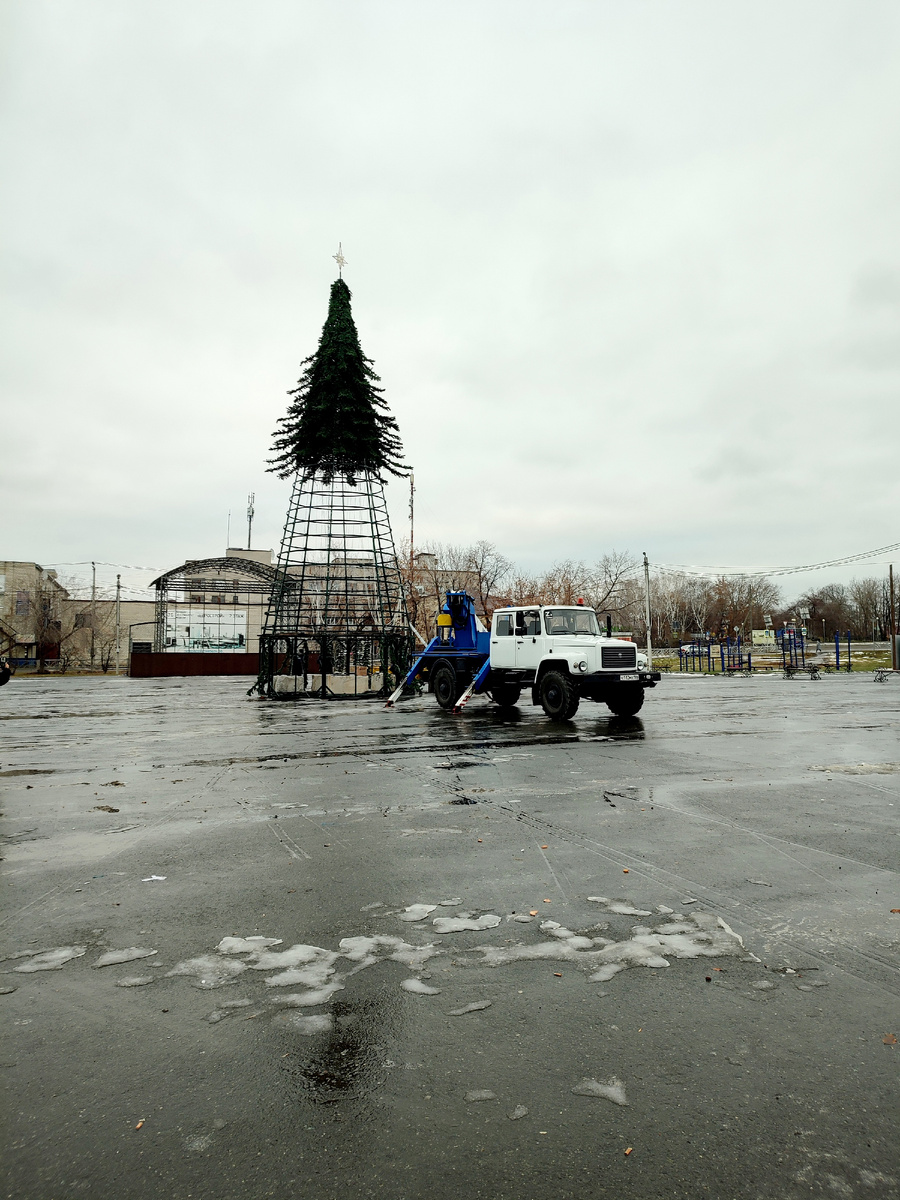 Последний снег тает прямо на глазах, а ёлка растёт