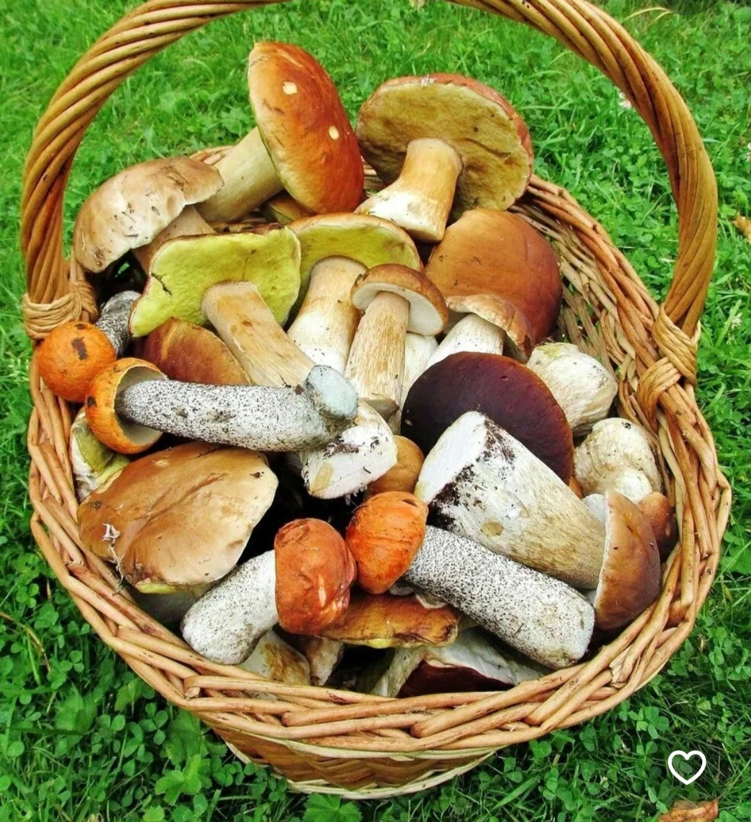 Фото из интернета. 