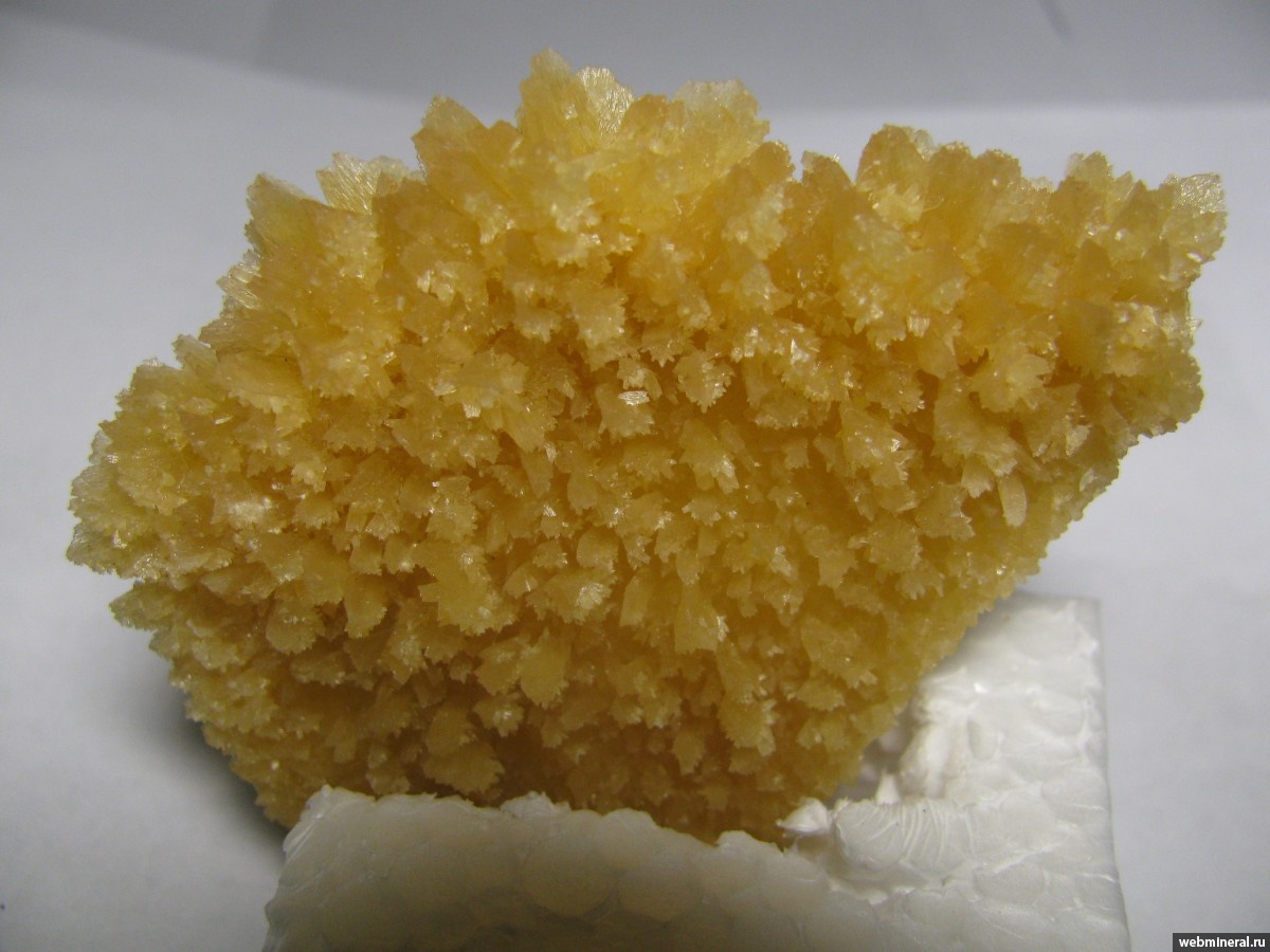 Фотография: Михаил Битман. 