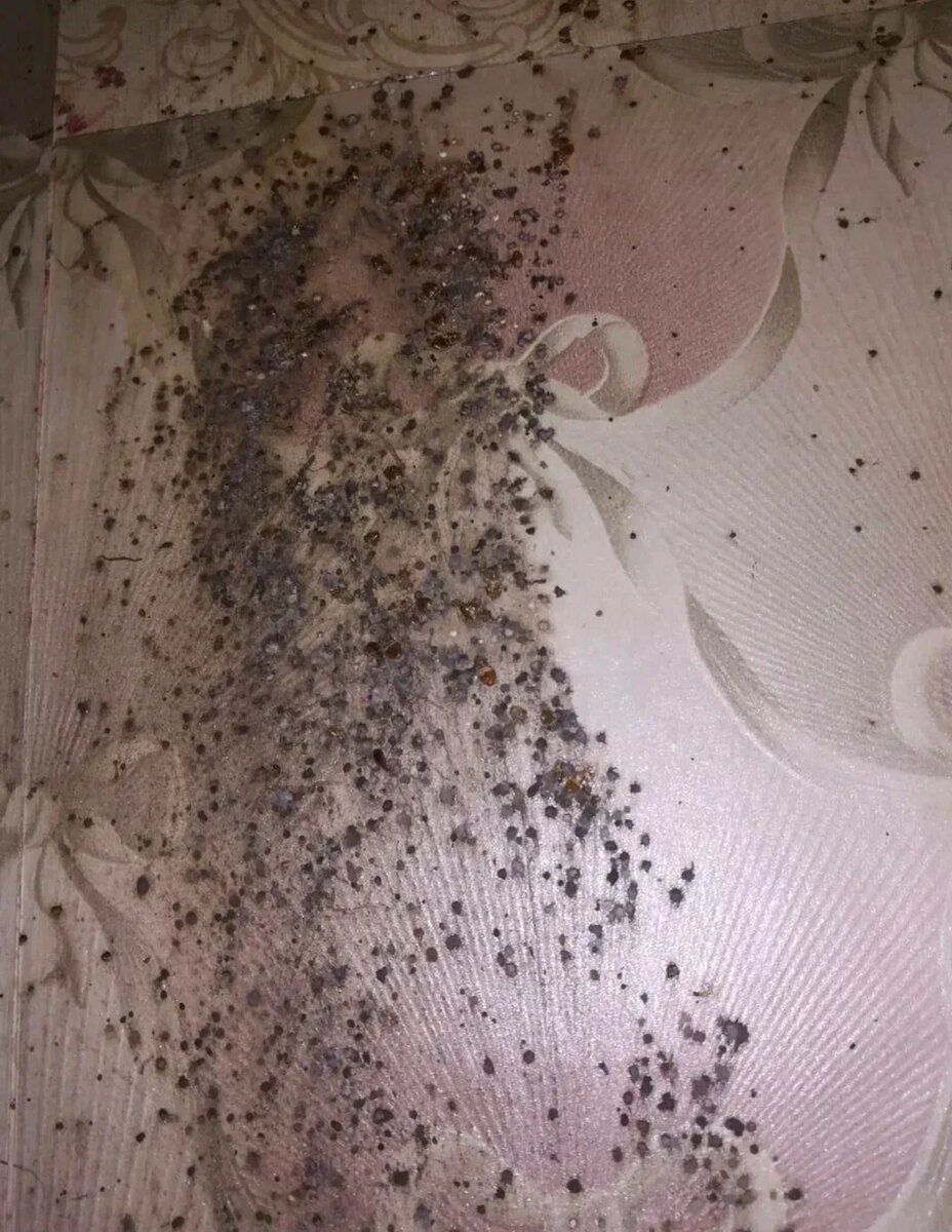 Это результат их жизнедеятельности