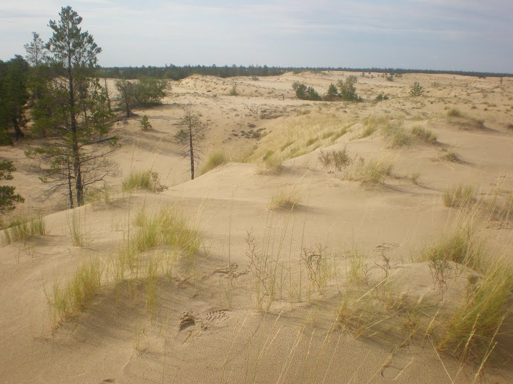 Рис. 1. Якутские тукуланы. Автор: Svetlana Ivanova https://web.archive.org/web/20161014162426/http://www.panoramio.com/photo/34322612
