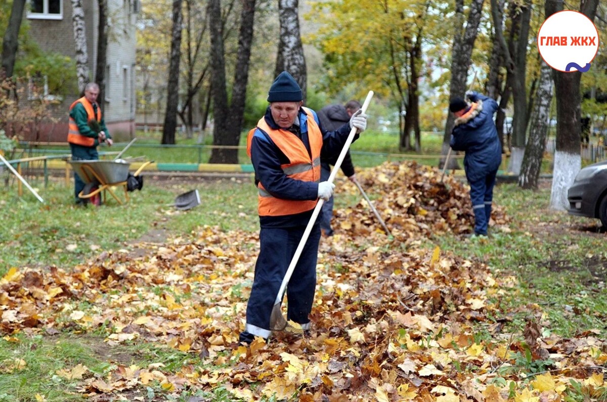 Какие работы входят в уборку дворов осенью и зимой? 