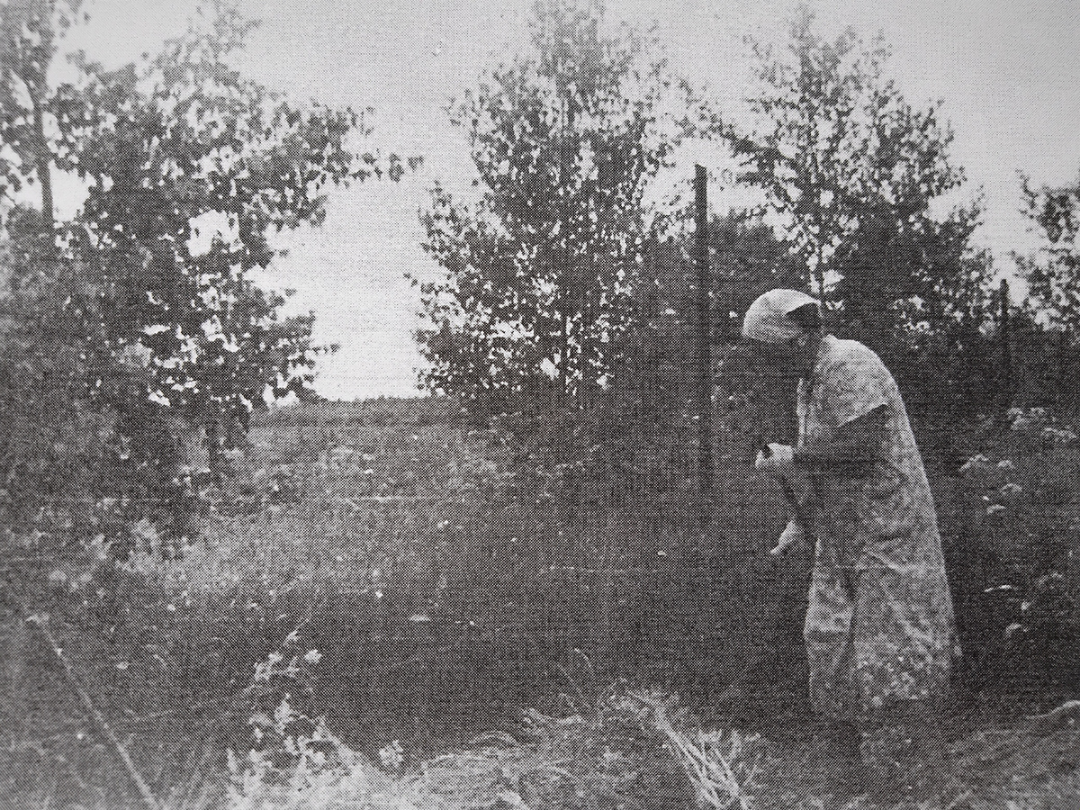 Нам выделили участок 