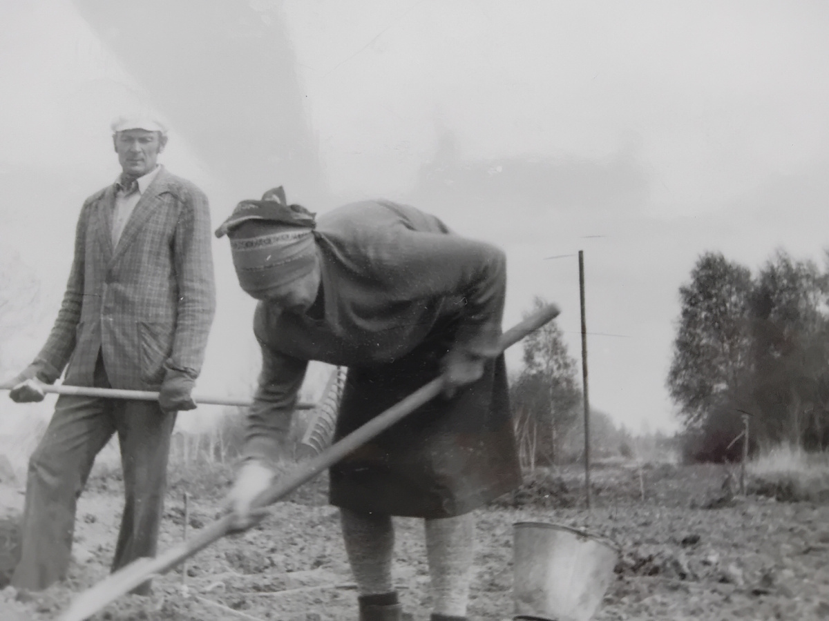 Разрабатываем участок