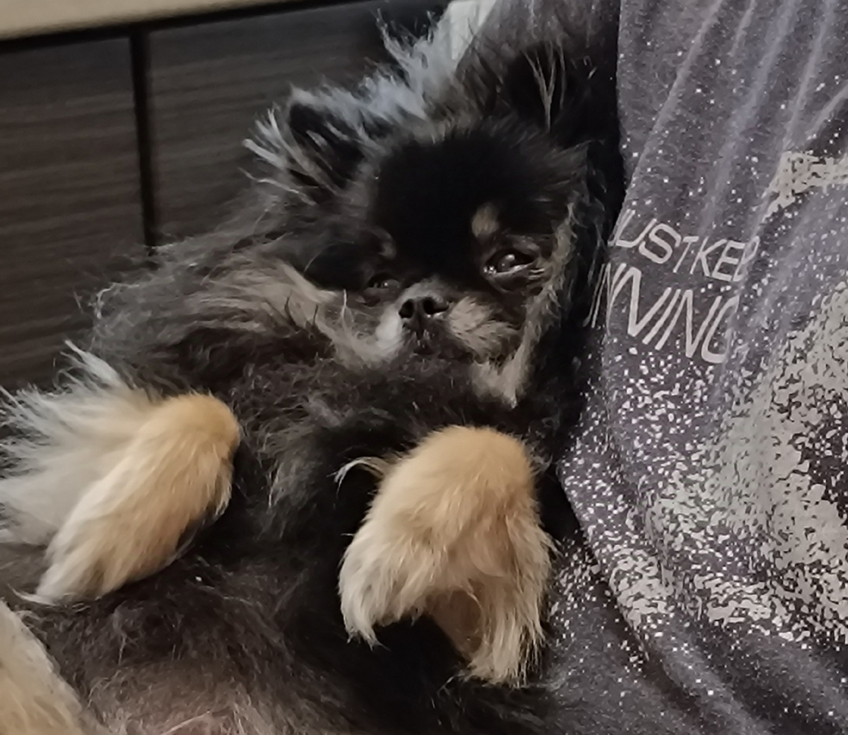 У сына на ручках. Как ребёнок же❤