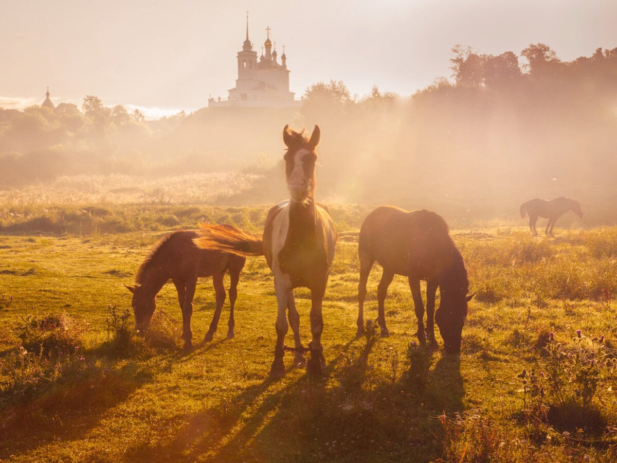 Посёлок Епифань — ближайший населённый пункт к музею-заповеднику «Куликово поле». Здесь стоит задержаться ради прогулки по местной Красной площади, а также посетить Никольский собор и Успенский монастырь, историко-этнографический музей в бывшей мещанской усадьбе