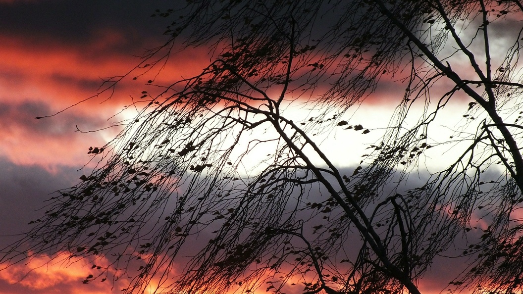    Victor Lisitsyn/Globallookpress