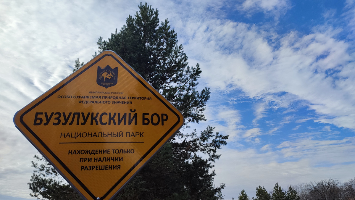 Бузулукский бор. Такие таблички встречаются по всему парку