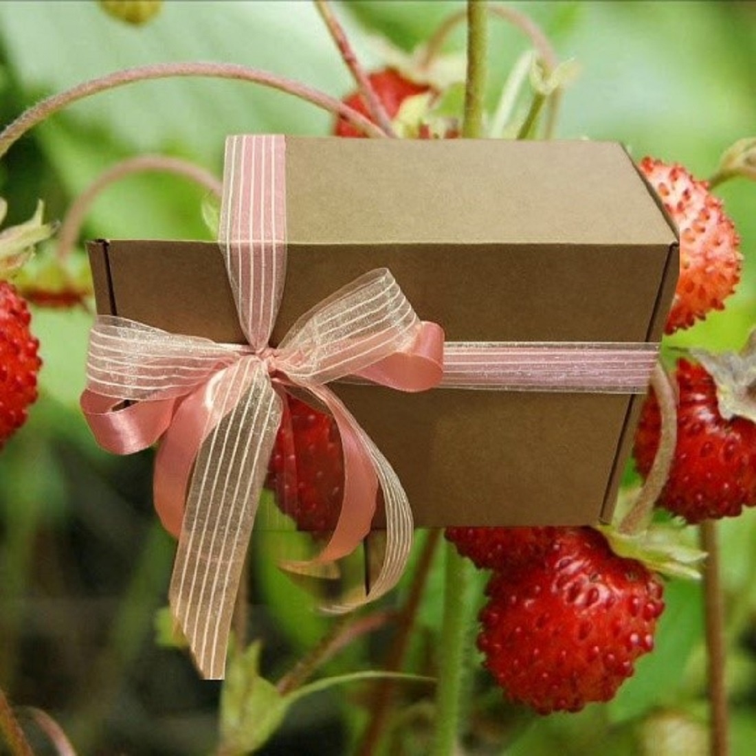 Крафтовый набор «Клубничная поляна» Четыре вида зернового кофе Арабика и Клубничный сироп