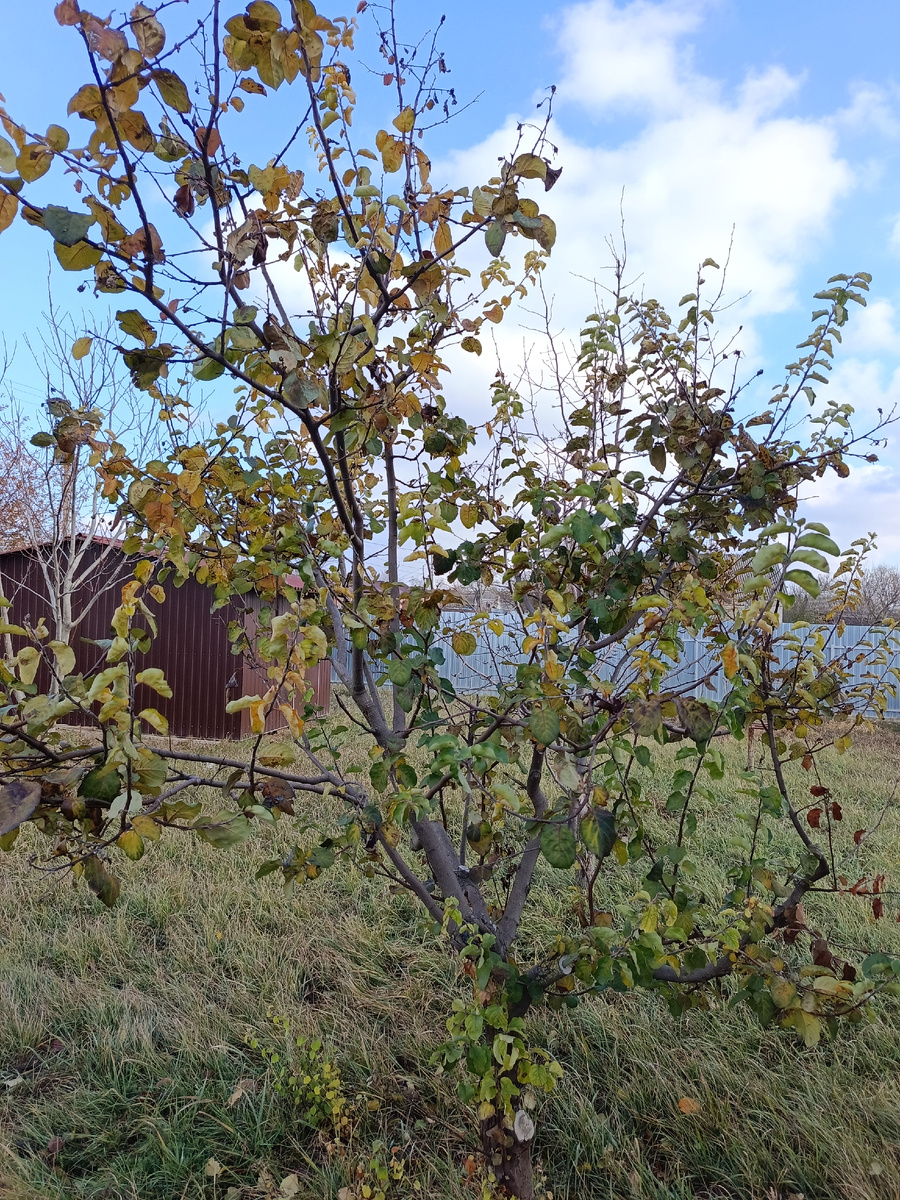 Это и все остальные фото автора канала