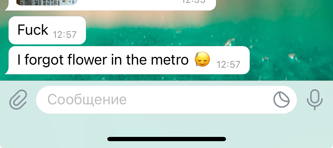 Фак, я забыл цветы в метро ((( ну в этом весть Титу 😂😂😂 таким я его и знаю)))
