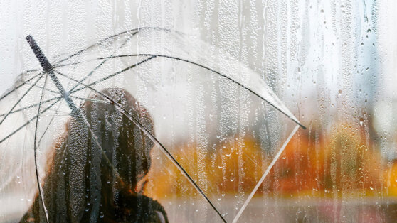    Месячная норма осадков обрушится на Московский регион на следующей неделе Ирина Петрова