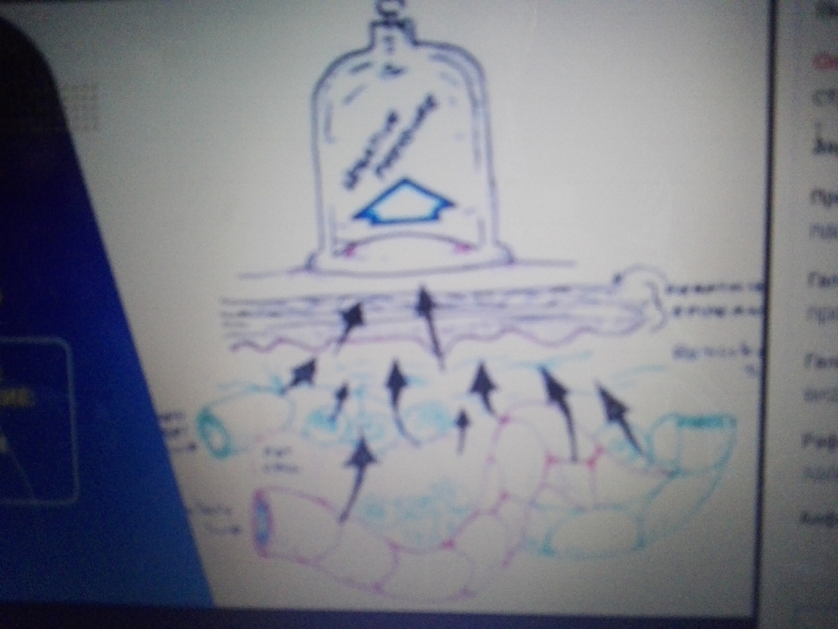 Взято с интернета 