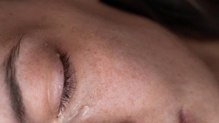 Фотография является собственностью авторского права. Любое использование фотографии должно согласоваться с автором.