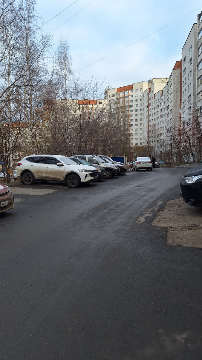 Сегодня и с собакой гуляли долго