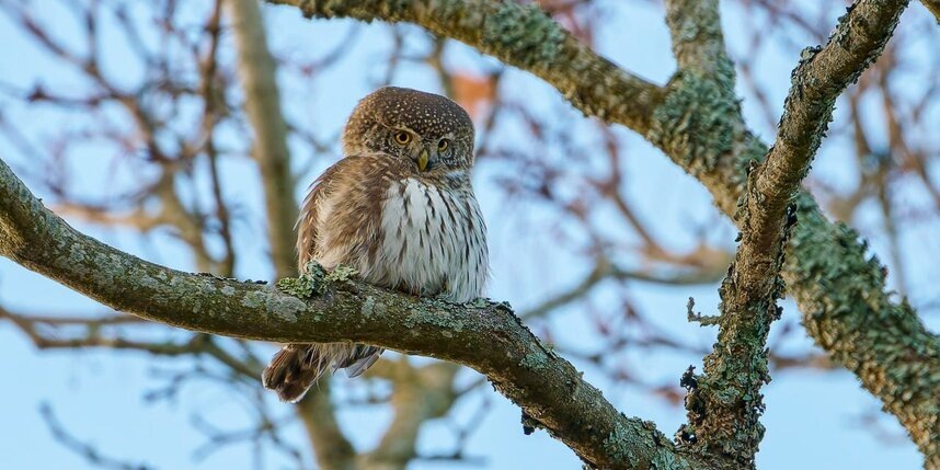    t.me/kazdoytvaripopare