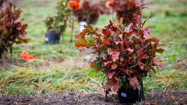    © Photo : Guvernul Republicii Moldova