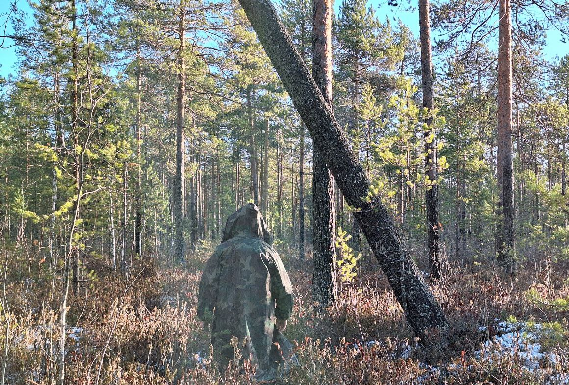 ���� ������