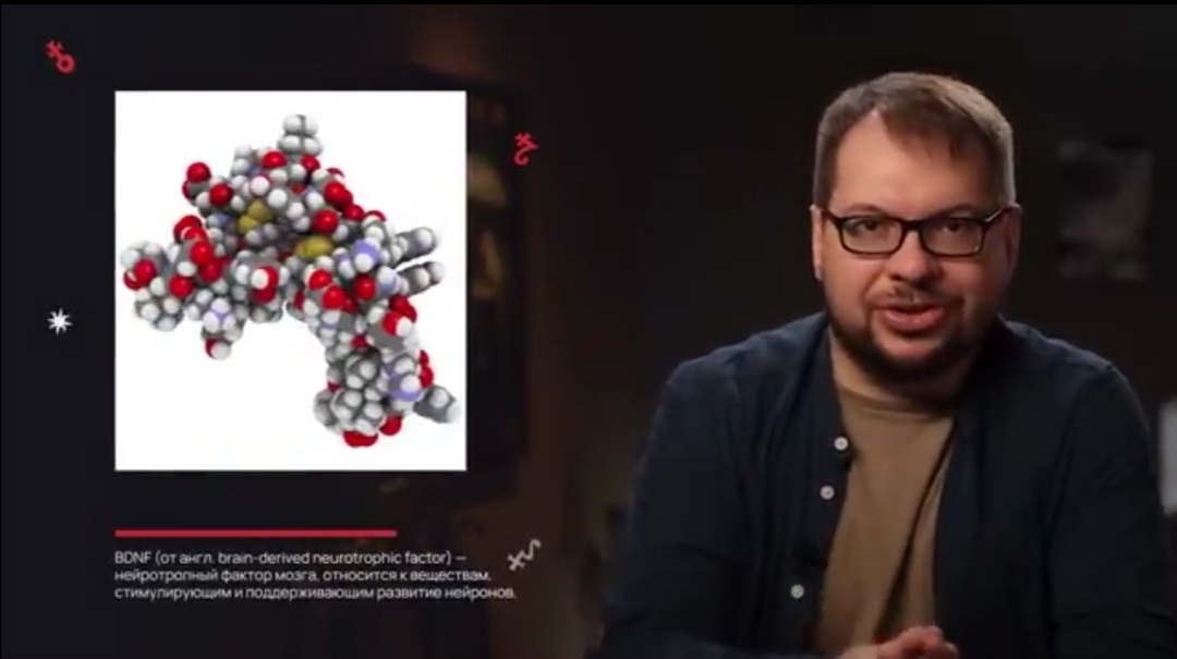 BDNF нашёлся на канале Панчина. 