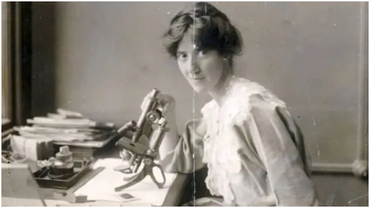 Мари Кармайкл Стоупс (Marie Charlotte Carmichael Stopes, Великобритания) https://mmwonderwomen.wordpress.com/2018/03/06/marie-stopes/
