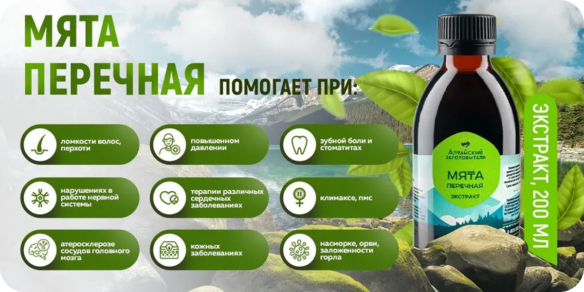 «Алтайский заготовитель» Мята перечная экстракт