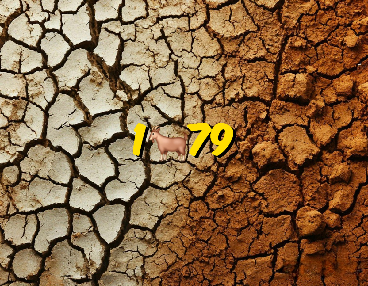 1979 год в восточном календаре и китайском гороскопе: Земляная Коза