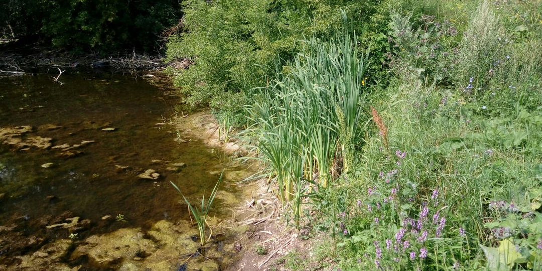 Замуж под давлением. Глава 17.