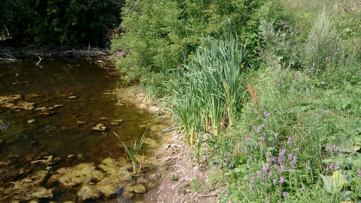 Фото автора.