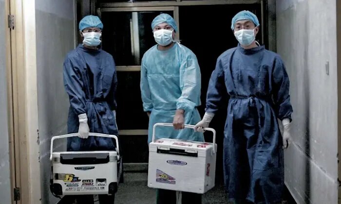 Врачи переносят свежие органы для трансплантации в больнице в провинции Хэнань, Китай, 16 августа 2012 года. (Screenshot via Sohu.com)