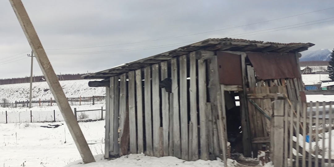 Выяснили с немцами, почему каждую осень на наши деревни страшно смотреть, всё мрачное и серое, а в Европе как с картинки