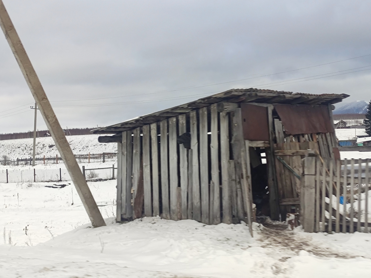 Ноябрь в деревне. Фото автора