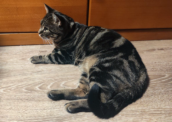 У меня тут все под контролем