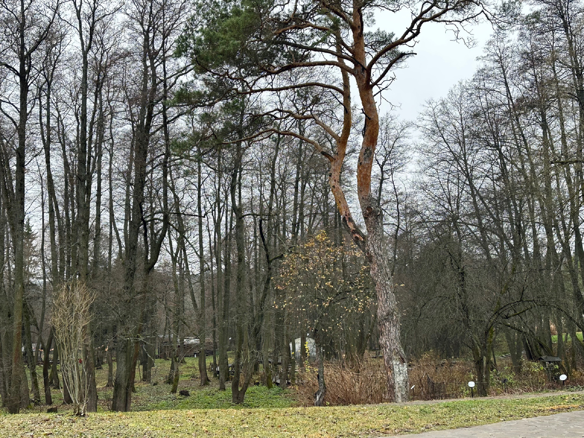 Вот такие нас сейчас окружают пейзажи.