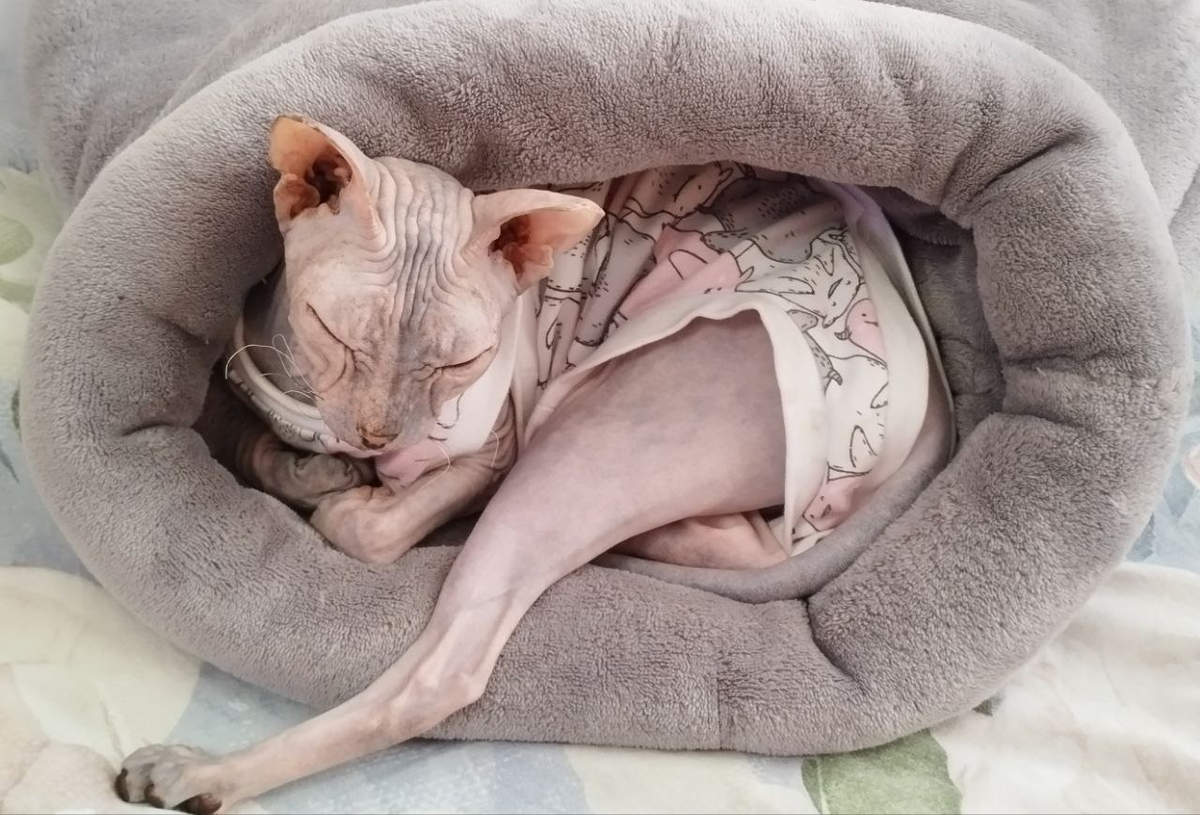 Фото автора. Басюня позирует