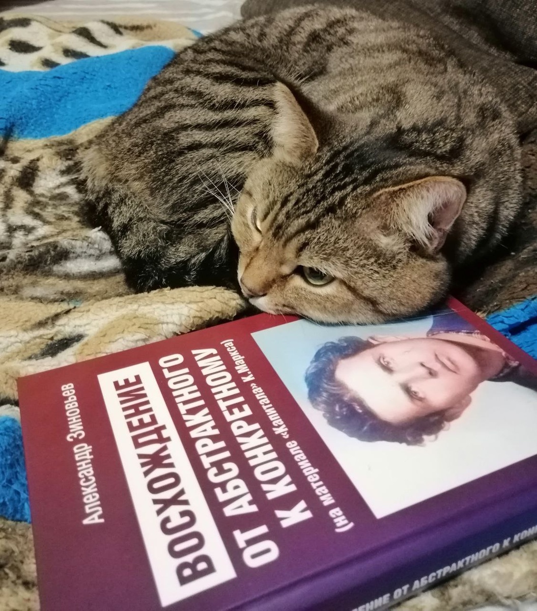 Деревенский кот после восхождения от абстрактного к конкретному