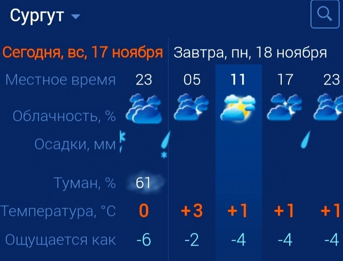    На автодорогах Сургутского района из-за метели ограничивают скорость