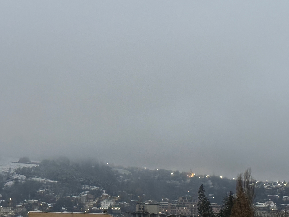 фото Сад в стиле Paradise @