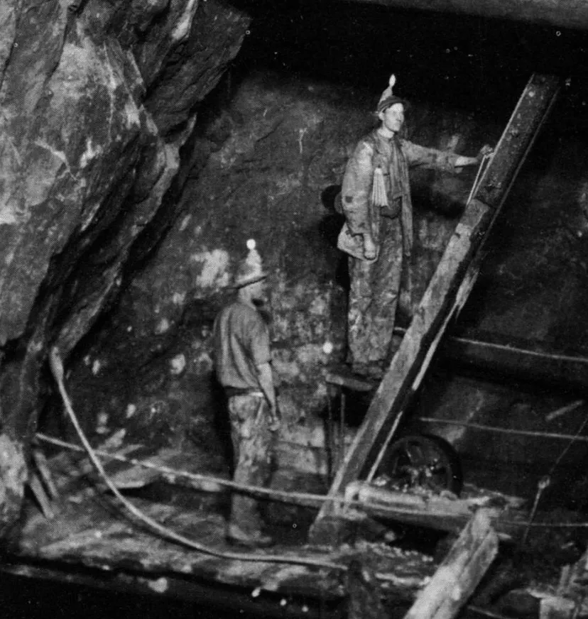 Источник: Wikimedia Commons