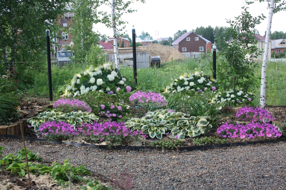 проект в виде фотомонтажа