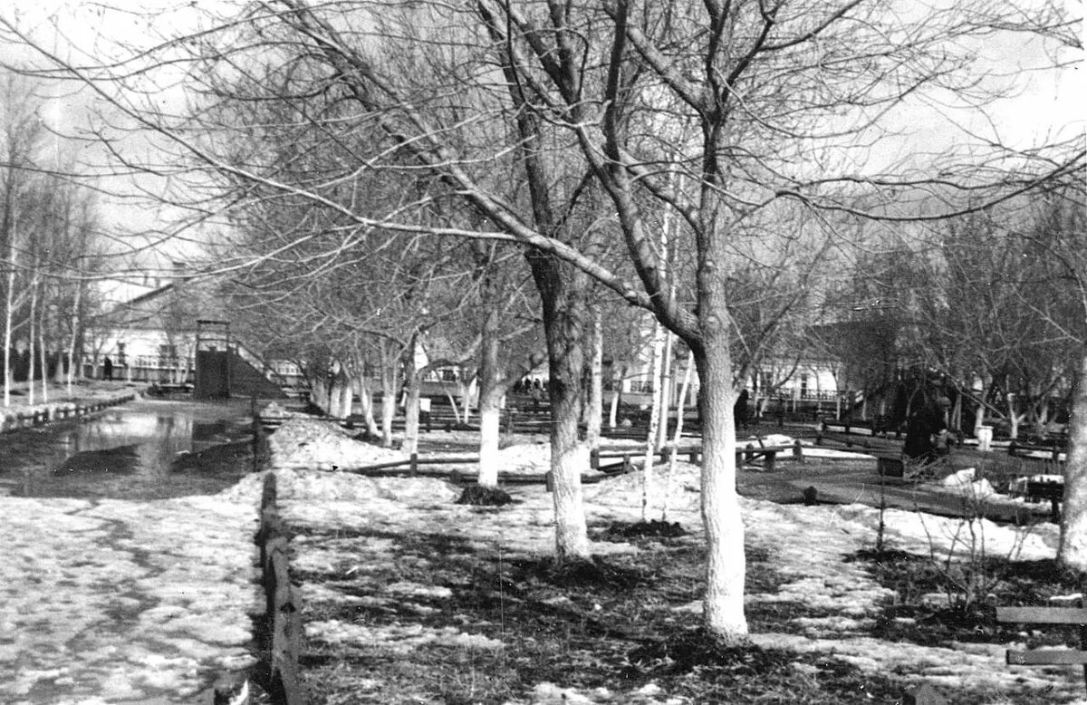 Из открытого доступа