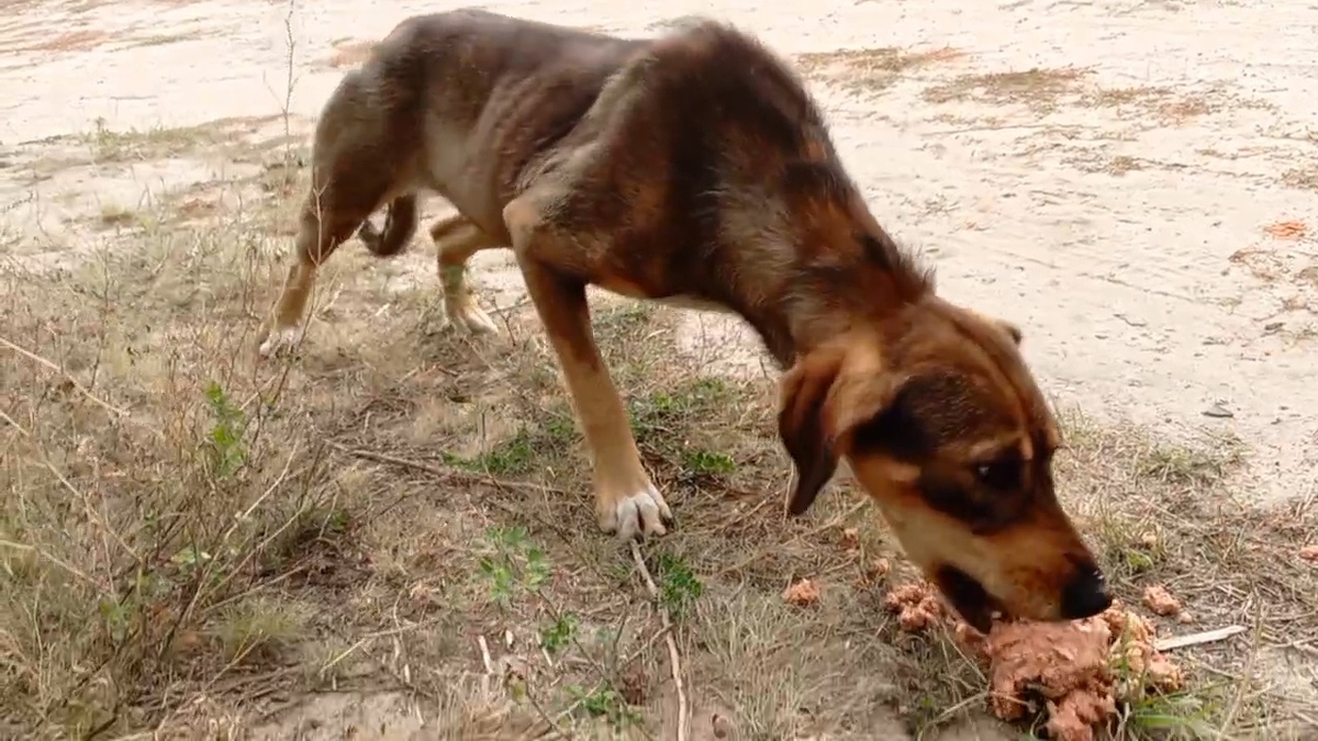 Нюша. Первая встреча 