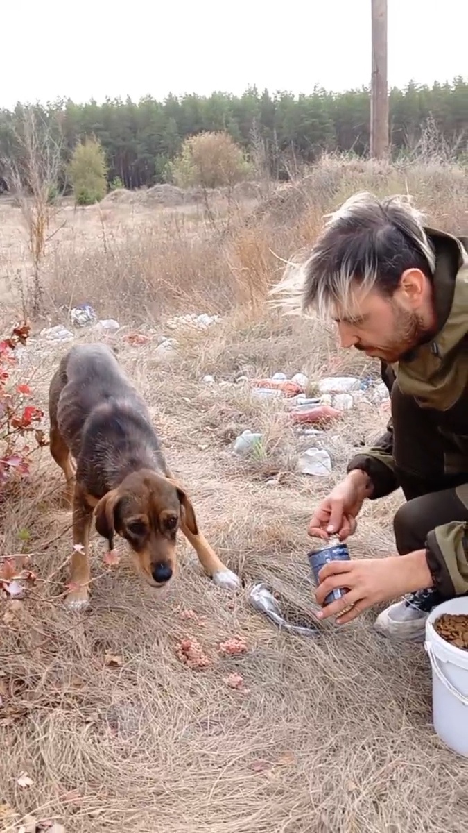 То самое поле