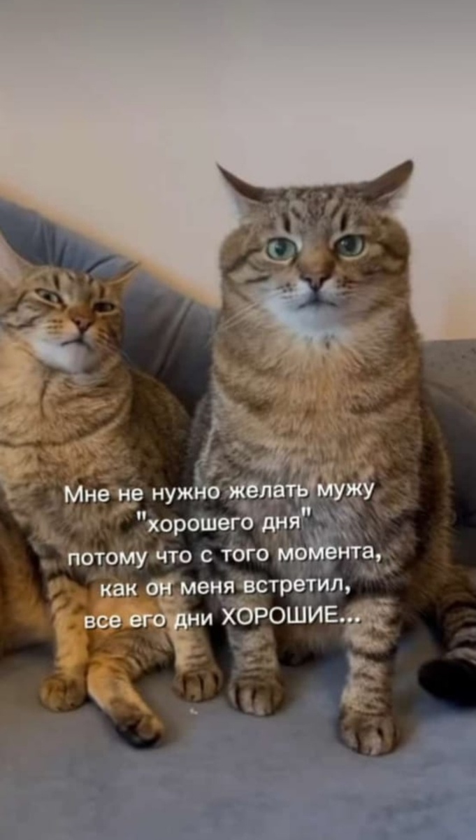 Из интернета