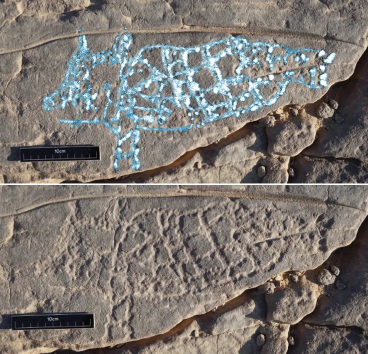 Петроглиф с изображением Козерога-Рыбы в эль-Хоше. Синий акцент авторства. Фото: Эванс и др., 2024