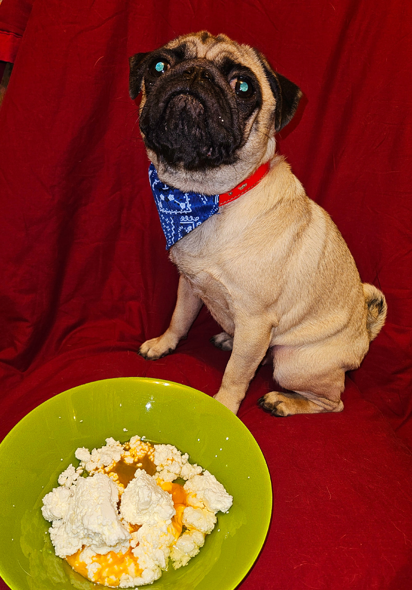 Держи лапы при себе