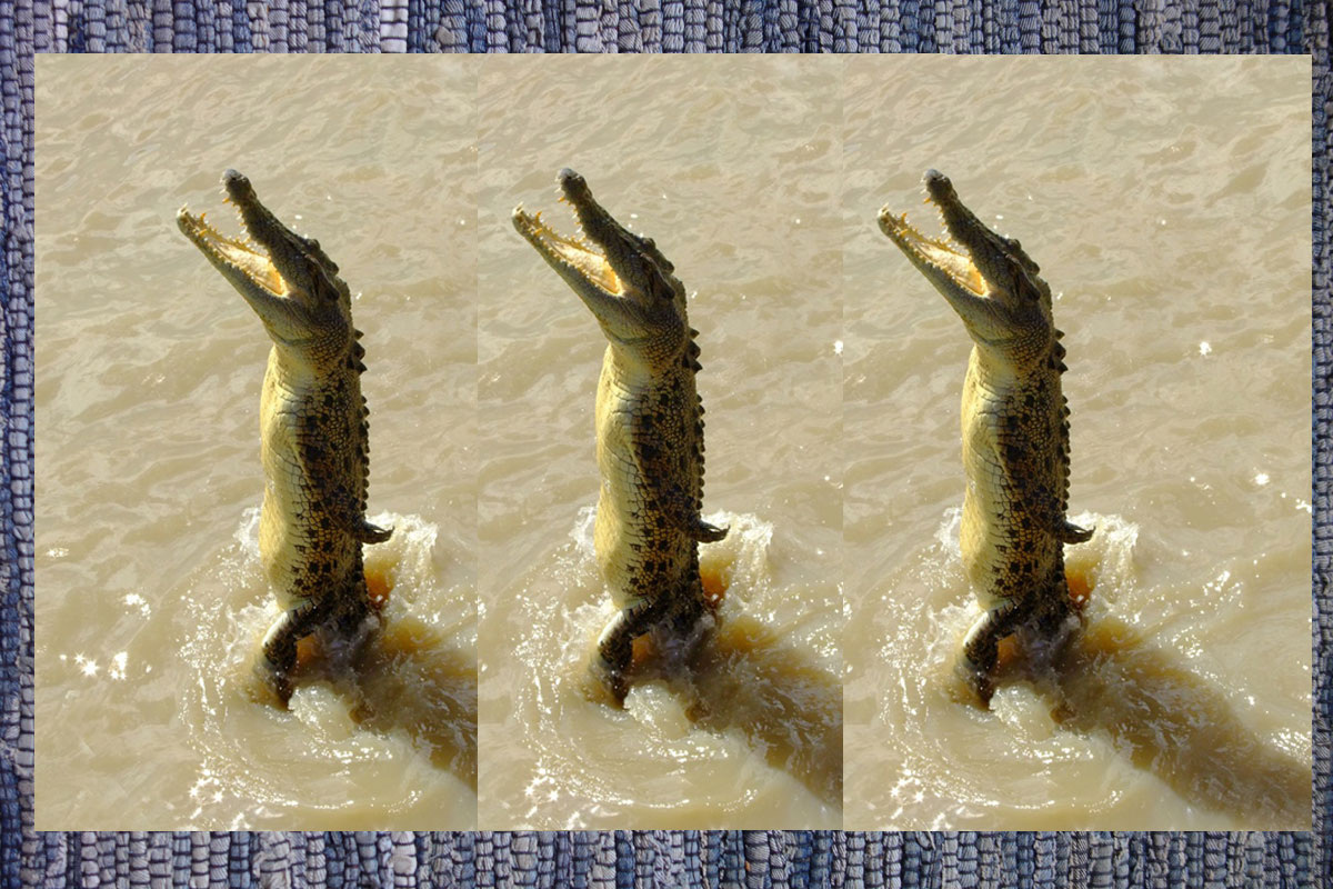 Вот они - идут почитать Дзен