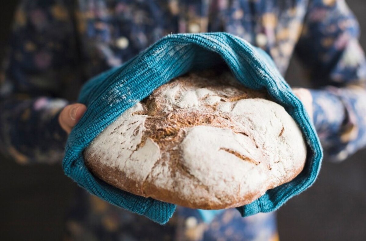 Фото: ru.freepik.com 