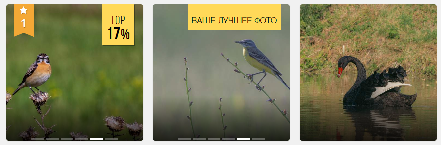 Результаты по фотографиям