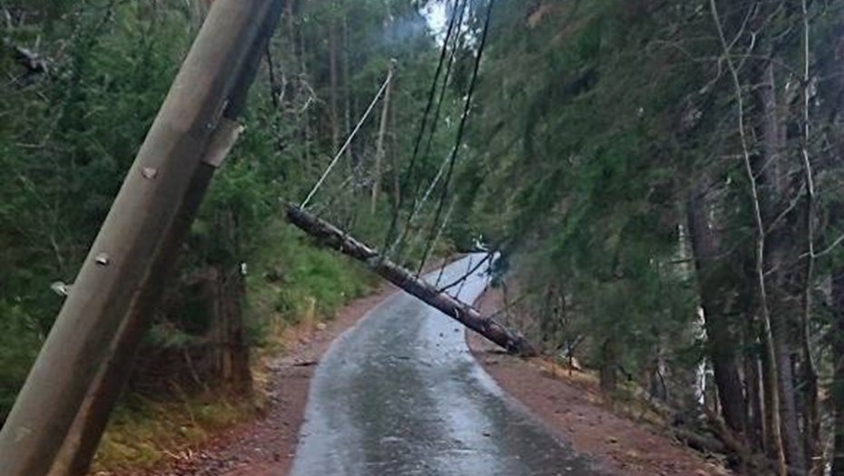    Автор фото: администрация Ленобласти